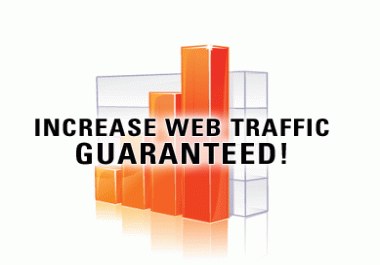 Get 1,000+ Real human visitors to your website for 10