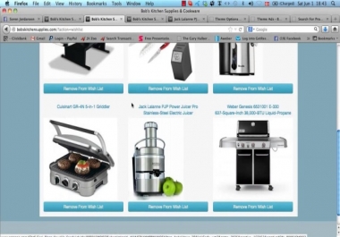 I will build a profitable Amazon affiliate website