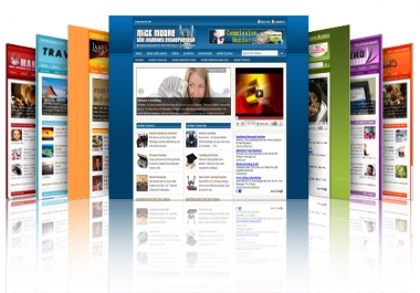 I will develop your niche with wordpress