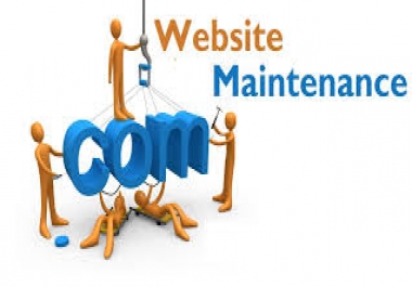 Website Maintenance and Editing