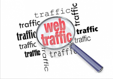 100,000 Niche Targeted Real Organic and Unique ADULT Web Traffic
