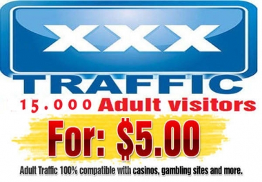 Promote Your Websites 15 000 Real Visitors Guaranteed