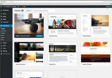 do Install wordpress,  themes,  plugins on your sites